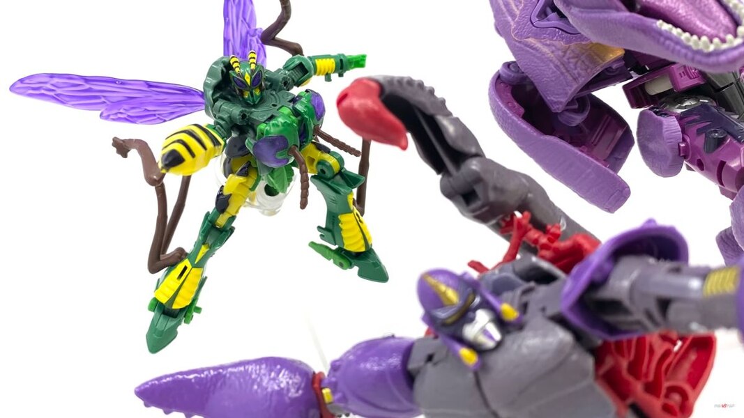 Transformers Kingdom Deluxe Class Waspinator  (4 of 28)